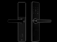 青松沃德-Wi-Fi 指紋鎖家用防盜門智能門鎖密碼鎖刷卡電子鎖 防磁干擾 防撬 L9-WT (不含鎖體，鎖體需另購）